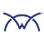 ConnectWise Icon