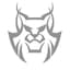 AccuLynx Icon