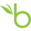 BambooHR Icon