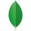 MongoDB Realm Icon