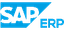 SAP Business Icon